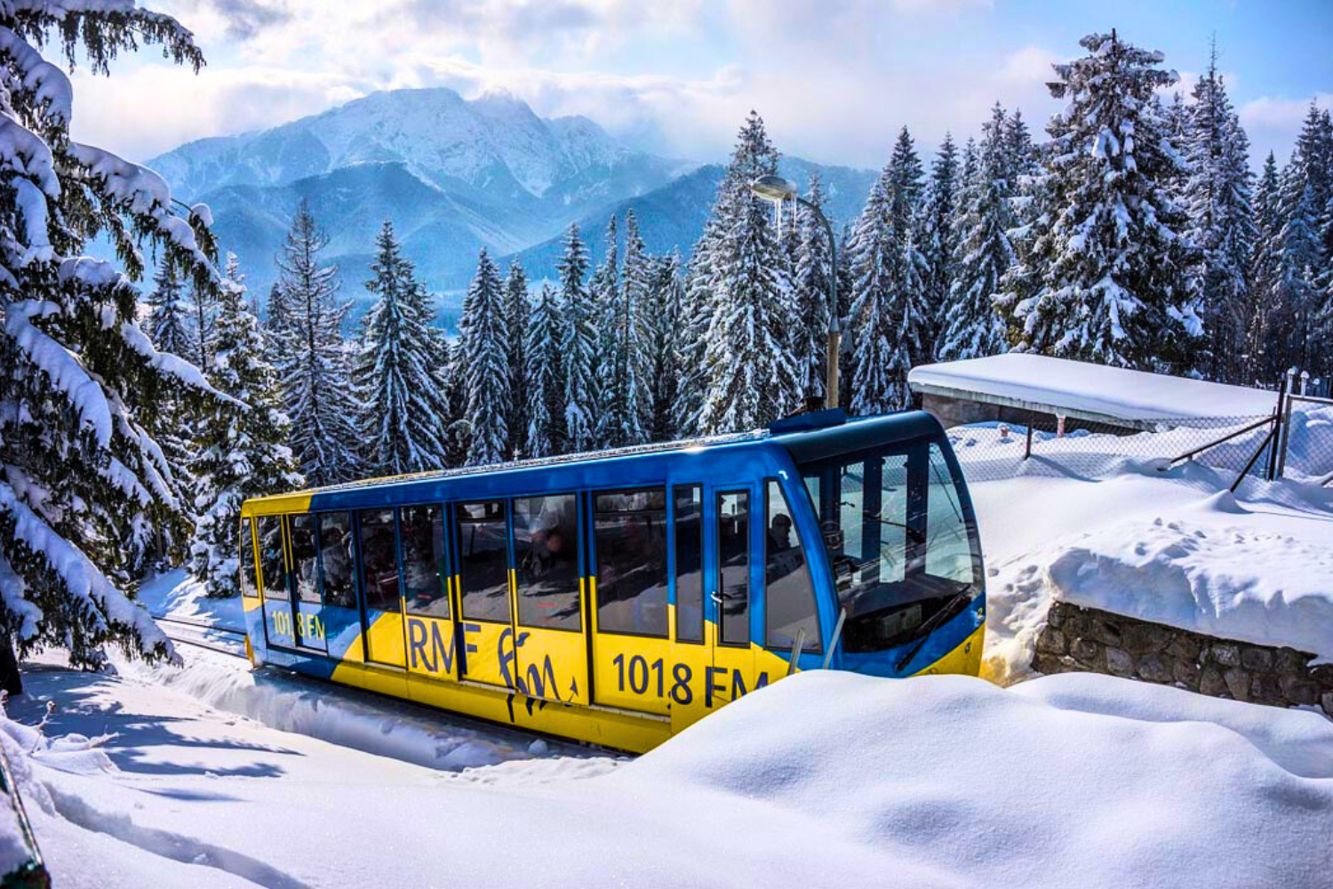 Губалувка (1)